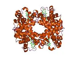 1yeq: T-To-T(High) quaternary transitions in human hemoglobin: betaW37Y OXY (10 test sets)