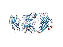 1yjd: Crystal structure of human CD28 in complex with the Fab fragment of a mitogenic antibody (5.11A1)