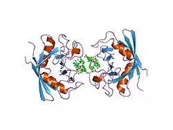 1ynd: Structure of human cyclophilin A in complex with the novel immunosuppressant sanglifehrin A at 1.6A resolution