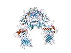 1ypz: Immune receptor
