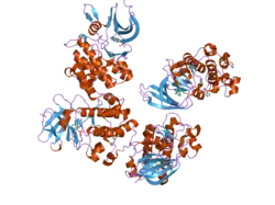 1yxu: Crystal Structure of Kinase Pim1 in Complex with AMP