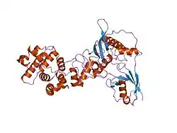 1z5s: Crystal structure of a complex between UBC9, SUMO-1, RANGAP1 and NUP358/RANBP2