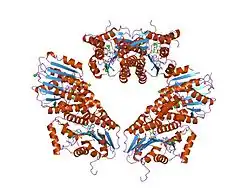 1z6z: Crystal Structure of Human Sepiapterin Reductase in complex with NADP+