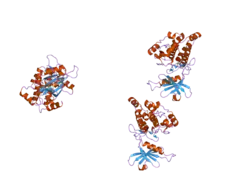 1z9x: Human DRP-1 kinase, W305S S308A D40 mutant, crystal form with 3 monomers in the asymmetric unit