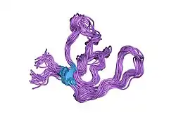 1zbj: Inferential Structure Determination of the Fyn SH3 domain using NOESY data from a 15N,H2 enriched protein