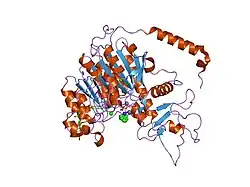 1zef: structure of alkaline phosphatase from human placenta in complex with its uncompetitive inhibitor L-Phe