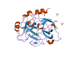 1zml: Crystal Structure of the Catalytic Domain of Factor XI in complex with (R)-1-(4-(4-(hydroxymethyl)-1,3,2-dioxaborolan-2-yl)phenethyl)guanidine