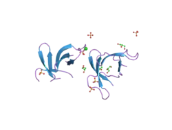 1zmp: Crystal structure of human defensin-5