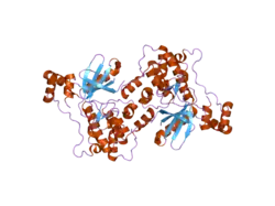 1zmv: Catalytic and ubiquitin-associated domains of MARK2/PAR-1: K82R mutant