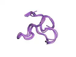 1ztn: INACTIVATION GATE OF POTASSIUM CHANNEL RAW3, NMR, 8 STRUCTURES