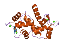 1zuz: Calmodulin in complex with a mutant peptide from human DRP-1 kinase
