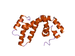 1zv4: Structure of the Regulator of G-Protein Signaling 17 (RGSZ2)