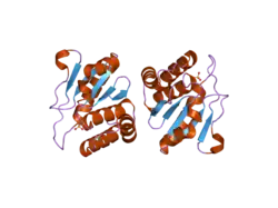 1zzw: Crystal Structure of catalytic domain of Human MAP Kinase Phosphatase 5
