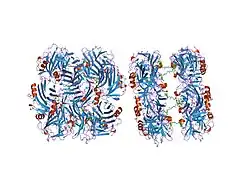 2a3w: Decameric structure of human serum amyloid P-component bound to Bis-1,2-{[(Z)-2-carboxy-2-methyl-1,3-dioxane]-5-yloxycarbamoyl}-ethane