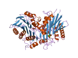 2a8m: Crystal Structure of Human Taspase1 (T234S mutant)