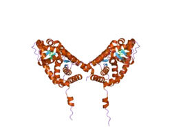 2aa5: Mineralocorticoid Receptor with Bound Progesterone