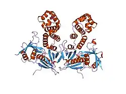 2aeh: Focal adhesion kinase 1