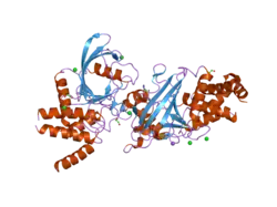 2ahs: Crystal Structure of the Catalytic Domain of Human Tyrosine Receptor Phosphatase Beta