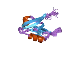 2ain: Solution structure of the AF-6 PDZ domain complexed with the C-terminal peptide from the Bcr protein