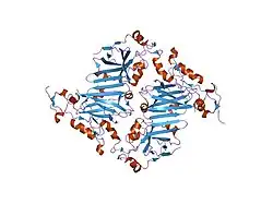 2an6: Protein-peptide complex