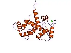 2bbm: SOLUTION STRUCTURE OF A CALMODULIN-TARGET PEPTIDE COMPLEX BY MULTIDIMENSIONAL NMR