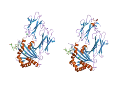 2bc4: Crystal structure of HLA-DM
