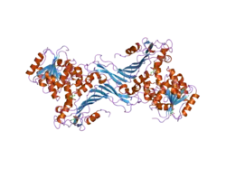 2bhl: X-RAY STRUCTURE OF HUMAN GLUCOSE-6-PHOSPHATE DEHYDROGENASE (DELETION VARIANT) COMPLEXED WITH GLUCOSE-6-PHOSPHATE