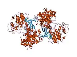 2bpm: STRUCTURE OF CDK2-CYCLIN A WITH PHA-630529