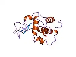 2bqe: CONTRIBUTION OF HYDROPHOBIC EFFECT TO THE CONFORMATIONAL STABILITY OF HUMAN LYSOZYME