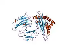 2bvo: STRUCTURES OF THREE HIV-1 HLA-B5703-PEPTIDE COMPLEXES AND IDENTIFICATION OF RELATED HLAS POTENTIALLY ASSOCIATED WITH LONG-TERM NON-PROGRESSION