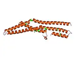 2c08: RAT ENDOPHILIN A1 BAR DOMAIN