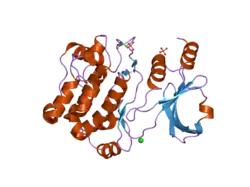 2c30: CRYSTAL STRUCTURE OF THE HUMAN P21-ACTIVATED KINASE 6