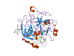 2c8w: THROMBIN INHIBITORS
