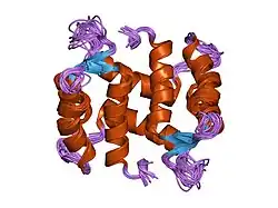 2cnp: HIGH RESOLUTION SOLUTION STRUCTURE OF APO RABBIT CALCYCLIN, NMR, 22 STRUCTURES