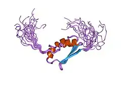 2cpq: Solution structure of the N-terminal KH domain of human FXR1
