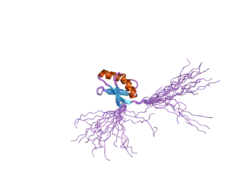 2crl: The apo form of HMA domain of copper chaperone for superoxide dismutase