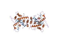 2d4h: Crystal-structure of the N-terminal large GTPase Domain of human Guanylate Binding protein 1 (hGBP1) in complex with GMP