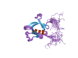 2d9y: Solution structure of the PH domain of PEPP-3 from human