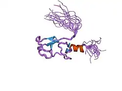2dar: Solution structure of first LIM domain of Enigma-like PDZ and LIM domains protein