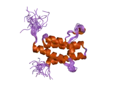 2dat: Solution structure of the Bromodomain of human SWI/SNF related matrix associated actin dependent regulator of cromatin subfamily A member 2