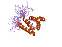 2dbg: Solution structure of the Pyrin (PAAD-DAPIN) domain in human Myeloid cell nuclear differentiation antigen