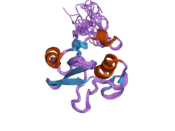 2dcr: Fully automated solution structure determination of the Fes SH2 domain