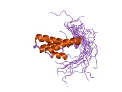 2dky: Solution structure of the SAM-domain of Rho-GTPase-activating protein 7