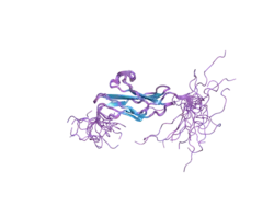 2dlh: Solution structure of the second fn3 domain of human receptor-type tyrosine-protein phosphatase delta