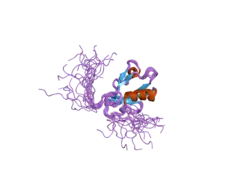 2dlu: Solution structure of the second PDZ domain of human InaD-like protein