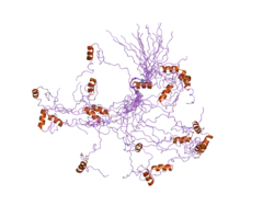 2dmi: Solution structure of the first and the second zf-C2H2 like domains of human Teashirt homolog 3