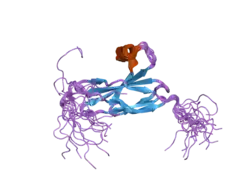 2dmk: The solution structure of the FN3 domain of human Midline 2 protein