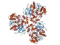 2dqy: Crystal structure of human carboxylesterase in complex with cholate and palmitate