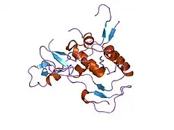 2dsr: Structural Basis for the Inhibition of Insulin-like Growth Factors by IGF Binding Proteins