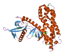 2dx1: Crystal structure of RhoGEF protein Asef